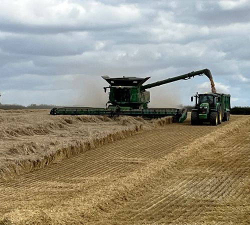 jd combine.jpg